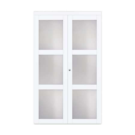 Renin Renin 30 in. x 80 1/2 in. Euro 3-Lite Bi-Fold Door EU3080BWFGE030080